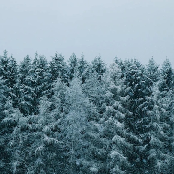 Meet your Posher, Ell - Picture 1 of 1